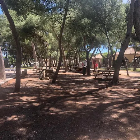 Mobilhome Margueritte Camping Lattes