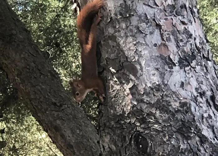 Mobilhome Margueritte *